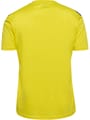 hmlAUTHENTIC PL JERSEY S/S