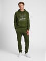 hmlISAM 2.0 HOODIE