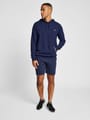 hmlIC FRED HOODIE