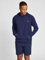 hmlIC FRED HOODIE