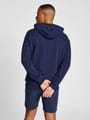 hmlIC FRED HOODIE