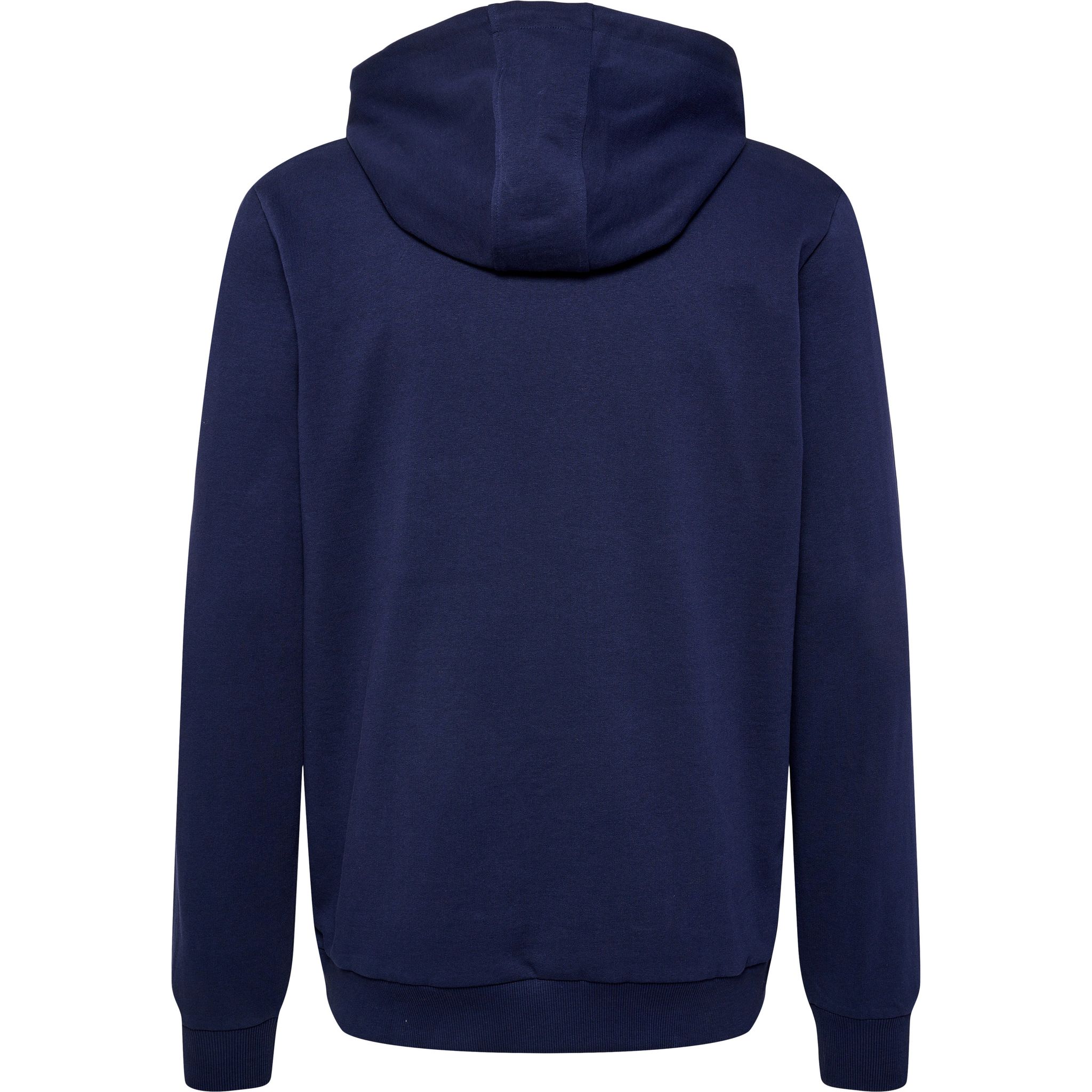 hmlIC FRED HOODIE