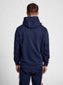 hmlIC DAYTON HOODIE
