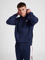 hmlIC DAYTON HOODIE