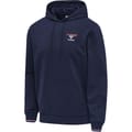 hmlIC DAYTON HOODIE