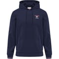 hmlIC DAYTON HOODIE