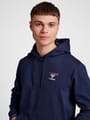 hmlIC DAYTON HOODIE
