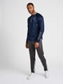 hmlGG12 ACTION HALF ZIP SWEAT