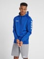 HMLGO COTTON HOODIE