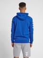HMLGO COTTON HOODIE