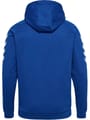 HMLGO COTTON HOODIE