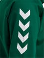 HMLGO COTTON HOODIE