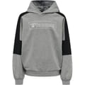 hmlBOXLINE HOODIE
