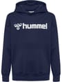 hmlGO 2.0 LOGO HOODIE KIDS