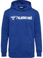 hmlGO 2.0 LOGO HOODIE