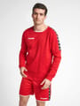 hmlAUTHENTIC TRAINING SWEAT
