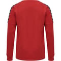 hmlAUTHENTIC TRAINING SWEAT