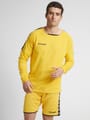 hmlAUTHENTIC TRAINING SWEAT