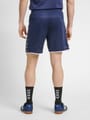 hmlAUTHENTIC POLY SHORTS