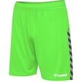 hmlAUTHENTIC POLY SHORTS