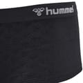 hmlAUTHENTIC POLY SHORTS