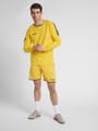 hmlAUTHENTIC POLY SHORTS