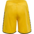 hmlAUTHENTIC POLY SHORTS