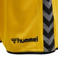 hmlAUTHENTIC POLY SHORTS