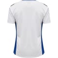hmlAUTHENTIC POLY JERSEY S/S