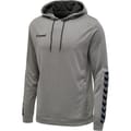 hmlAUTHENTIC POLY HOODIE