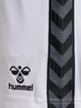 hmlAUTHENTIC PL SHORTS WOMAN