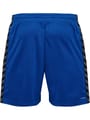 hmlAUTHENTIC PL SHORTS