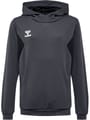 hmlAUTHENTIC PL HOODIE KIDS