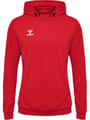 hmlAUTHENTIC PL HOODIE