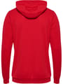 hmlAUTHENTIC PL HOODIE
