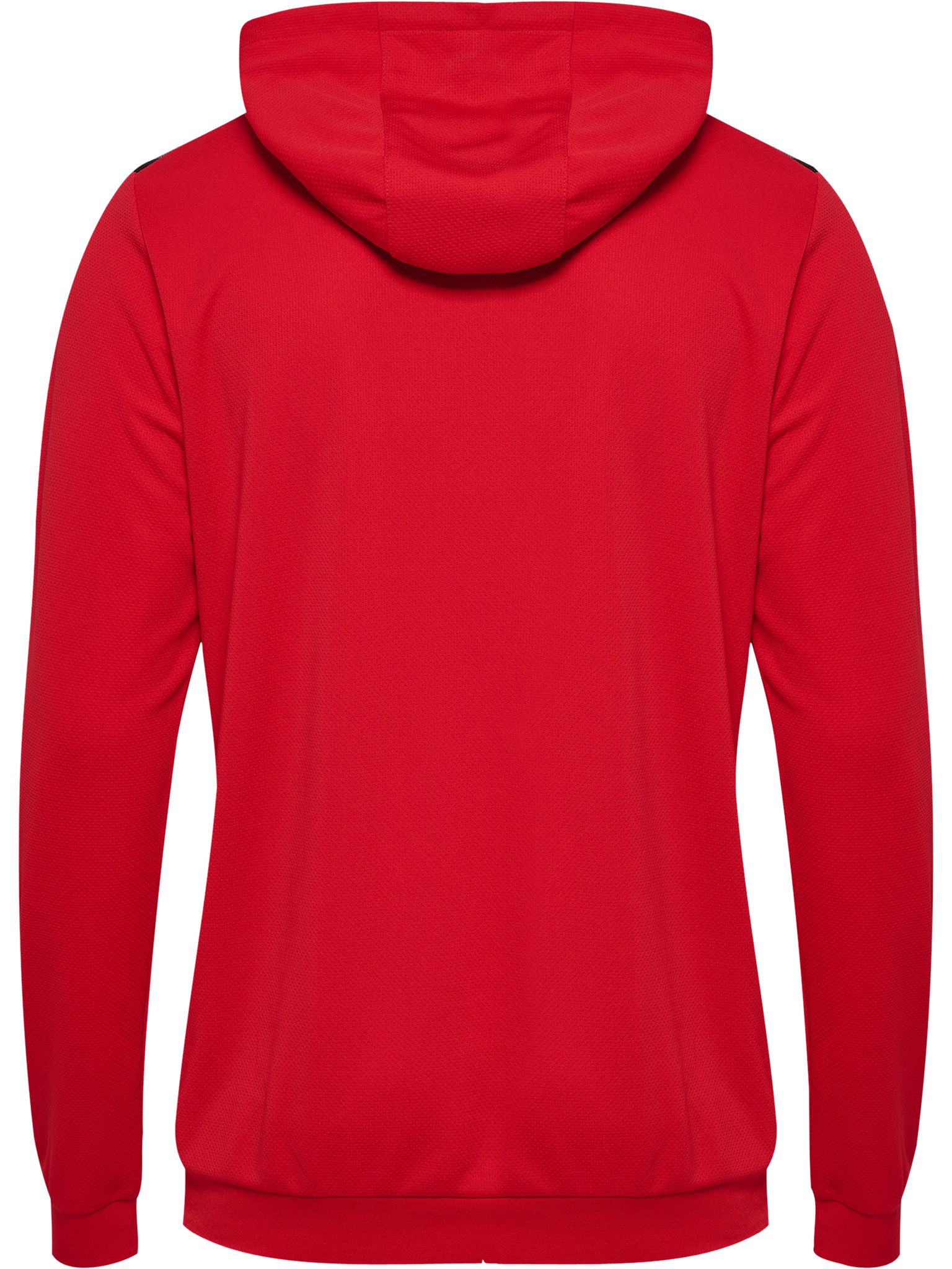 hmlAUTHENTIC PL HOODIE