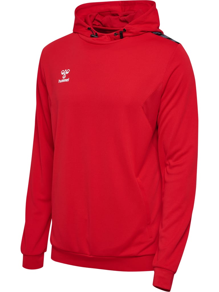 hmlAUTHENTIC PL HOODIE