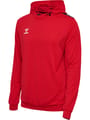 hmlAUTHENTIC PL HOODIE