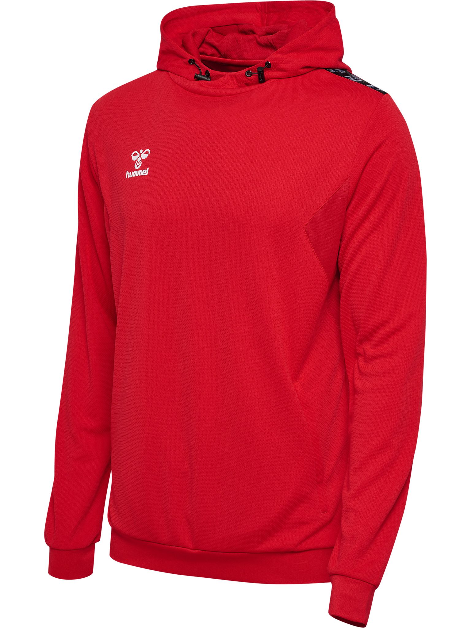 hmlAUTHENTIC PL HOODIE