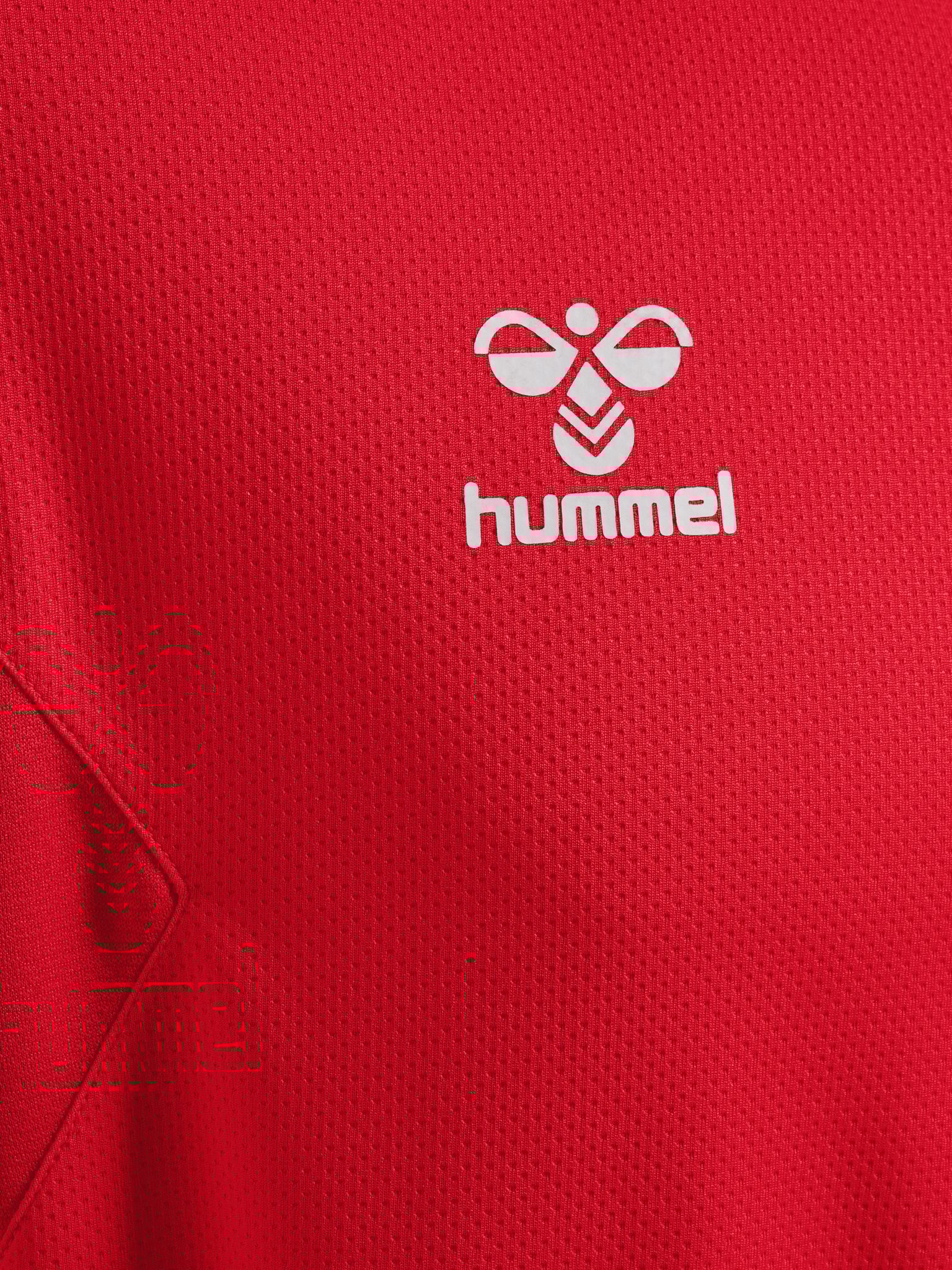 hmlAUTHENTIC PL HOODIE