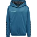 hmlAUTHENTIC KIDS POLY HOODIE