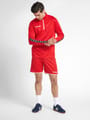 hmlAUTHENTIC HALF ZIP SWEATSHIRT