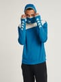 hmlARIUS HOODIE