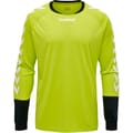 ESSENTIAL GK JERSEY