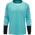 ESSENTIAL GK JERSEY