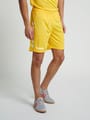 CORE POLY SHORTS