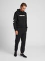 hmlLEGACY REGULAR PANTS