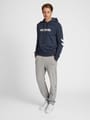hmlLEGACY LOGO HOODIE