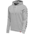 hmlLEGACY HOODIE