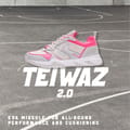 TEIWAZ 2.0 W